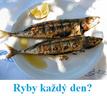 Je z pohledu zdraví vhodné jíst ryby každý den?