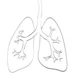 Idiopatická plicní fibróza (IPF): Když je dřina i samotné dýchání