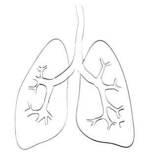 Idiopatická plicní fibróza (IPF): Když je dřina i samotné dýchání