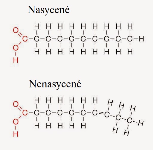 Molekula: nasycený a nenasycený tuk