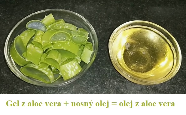 Takto vznikne olej z aloe vera