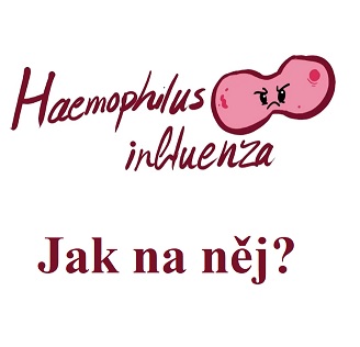 Haemophilus influenzae