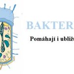 Bakterie – zajímavé informace – čím nebo kým vlastně jsou? Jsou pro nás dobré nebo špatné?