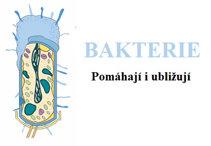 Bakterie - čím nebo kým vlastně jsou? Jsou pro nás dobré nebo špatné?