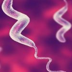 Kampylobakterióza a bakterie Campylobacter – co to je – příznaky, příznaky a léčba