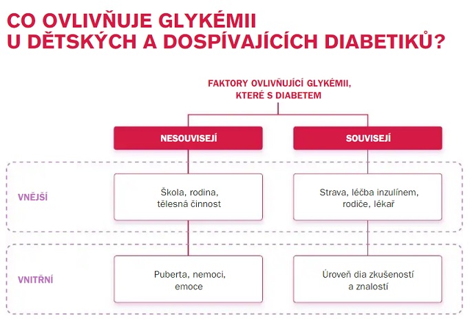 CO OVLIVŇUJE GLYKÉMII U DĚTSKÝCH A DOSPÍVAJÍCÍCH DIABETIKŮ?