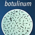 Clostridium botulinum – co tato bakterie může způsobit?