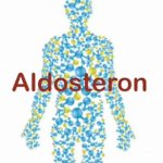 Aldosteron – jaké funkce má tento hormon?