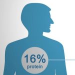 Proč jsou pro naše zdraví bílkoviny (proteiny) tak důležité?