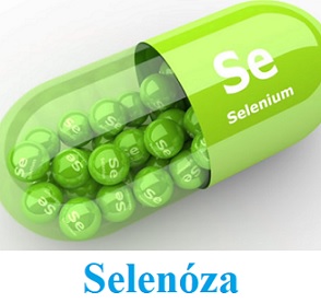 Selenóza neboli otrava selenem - příznaky, příčiny a léčba