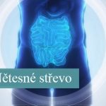 Syndrom zvýšené propustnosti střev – co je to – příznaky, příčiny a léčba