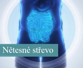 Syndrom zvýšené propustnosti střev znamená, že střeva propouští i látky, které by neměla.