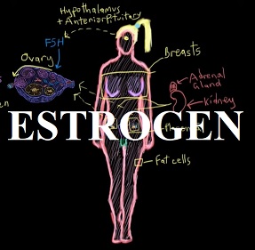 Na co je dobrá estrogenová terapie?