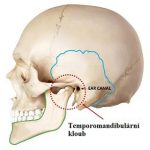 Temporomandibulární (čelistní, žvýkací) kloub – jeho poruchy a problémy