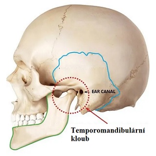 Temporomandibulární (čelistní, žvýkací) kloub - jeho poruchy a problémy