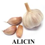 Alicin (allicin) a jeho účinky a zdraví – jaký má vliv tato aminokyselina?