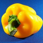 Žlutá paprika a její účinky na zdraví