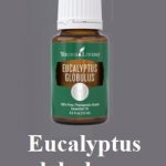 Eukalyptus globulus esenciální olej (Blahovičník kulatoplodý) – účinky a kontraindikace