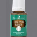 Esenciální olej Eukalyptus radiata – účinky a kontraindikace