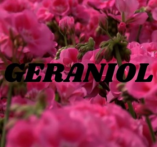 Geraniol - co je to - proč se používá v kosmetice? A je nějak škodlivý?