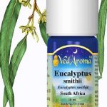 Esenciální olej Eucalyptus Smiithii – účinky, vlastnosti, kontraindikace