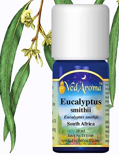 Esenciální olej Eucalyptus Smiithii - účinky, vlastnosti, kontraindikace