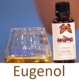 Eugenol je hlavní složkou [70% až 90%] éterického oleje z hřebíčku (Syzygium aromaticum)