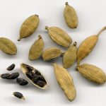 Esenciální olej Kardamom (Elatteria cardamomum) – účinky, vlastnosti, kontraindikace
