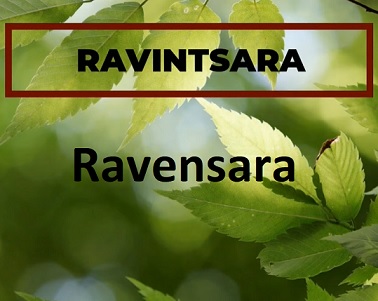 Esenciální oleje Ravensara versus Ravintsara - jaký je mezi nimi rozdíl?