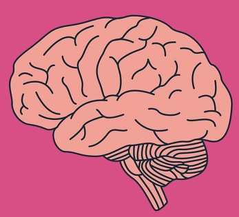 Konzumací lidského mozku se přenáší zvláštní nemoc, zvaná kuru. 