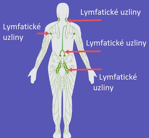 Lymfatické uzliny v těle