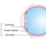 Uveitida oka (zánět duhovky) – příznaky, příčiny a léčba