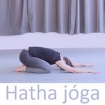 Hatha jóga – co je to a jaké má účinky na zdraví?