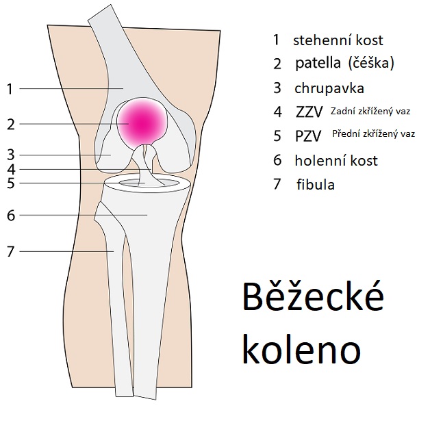 Běžecké koleno - ilustrace