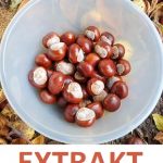 7 zdravotních výhod a účinků extraktu z kaštanů (jírovce)