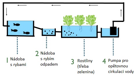 Akvaponický systém - znázornění