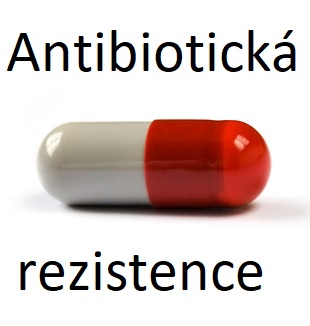 Antibiotika jsou léky používané k hubení bakterií. V průběhu času se mohou určité skupiny těchto bakterií přizpůsobit těmto lékům.