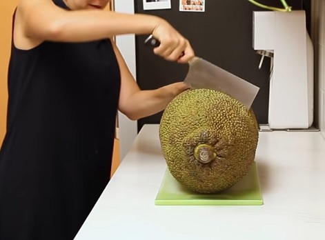 Takto se jackfruit porcuje, je to celkem dřina