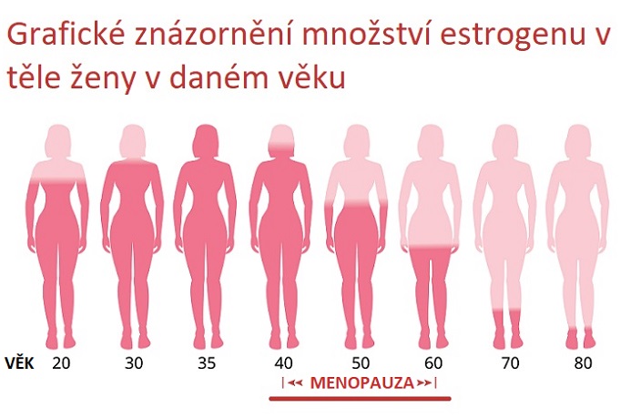 Estrogen v těle ženy