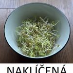 Naklíčená čočka – jaké má účinky na zdraví a co obsahuje?