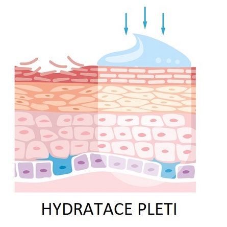 Svoji suchou pleť pravidelně hydratujte. Opravdu pravidelně.