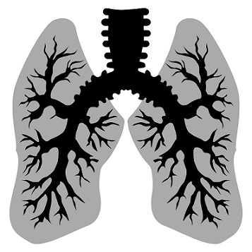 Jaké poškození může koronavirus (COVID-19) způsobit vašim plicím?