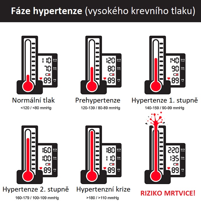 Fáze hypertenze