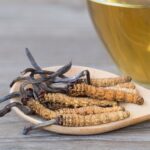 Cordyceps a účinky na zdraví – zabijácká houba s potenciálními zdravotními přínosy