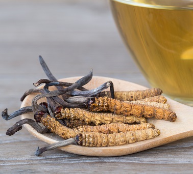 Cordyceps obsahuje polysacharidy a beta-glukany, u kterých je prokázáno, že zvyšují aktivitu imunitních buněk a pomáhají v boji proti infekcím.