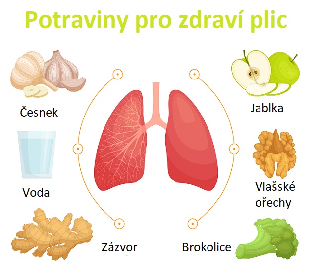 Potraviny, které jsou super pro zdravé plíce