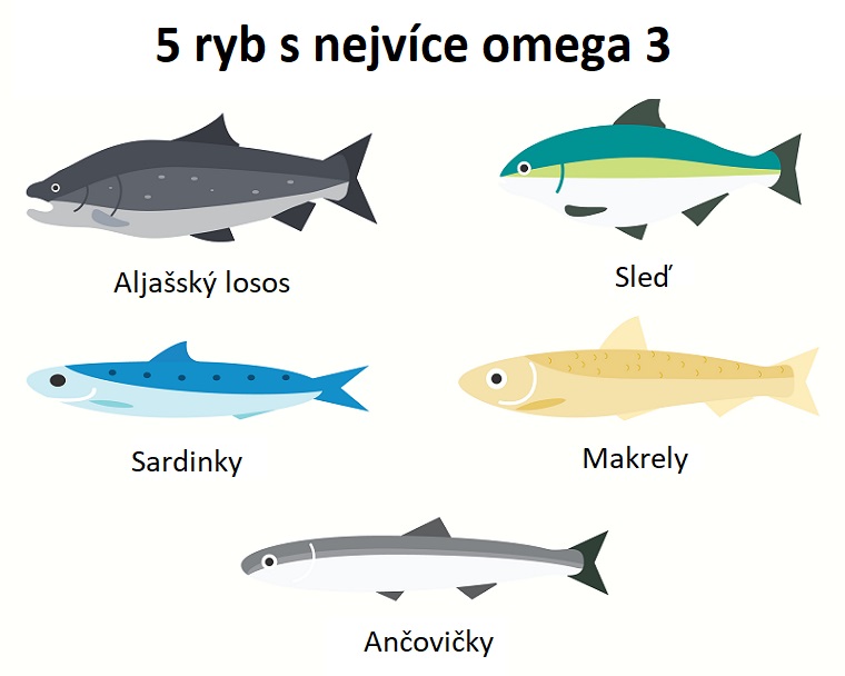 Ryby, které mají vysoký obsah omega-3 a nízký obsah rtuti