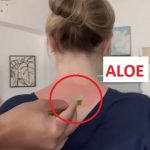 Aloe vera po opalování – jak a proč použít?