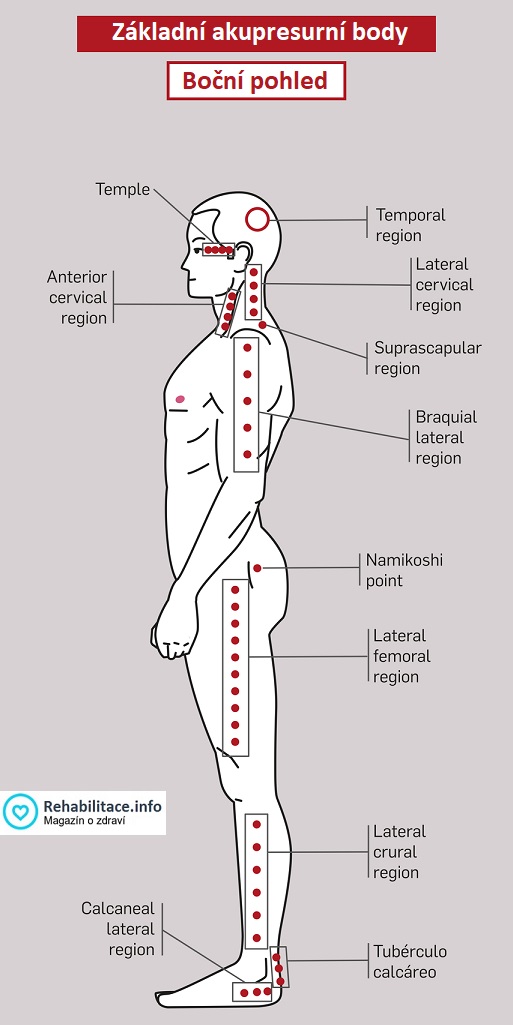 Základní akupresurní body - boční pohled