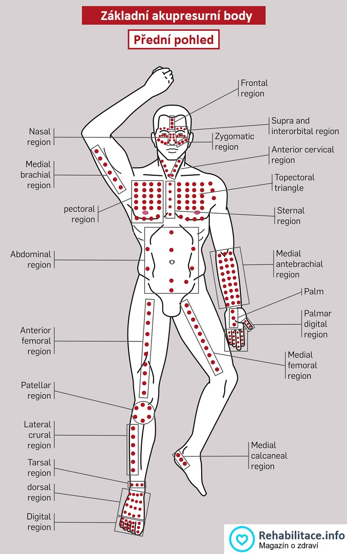 Základní akupresurní body - přední pohled